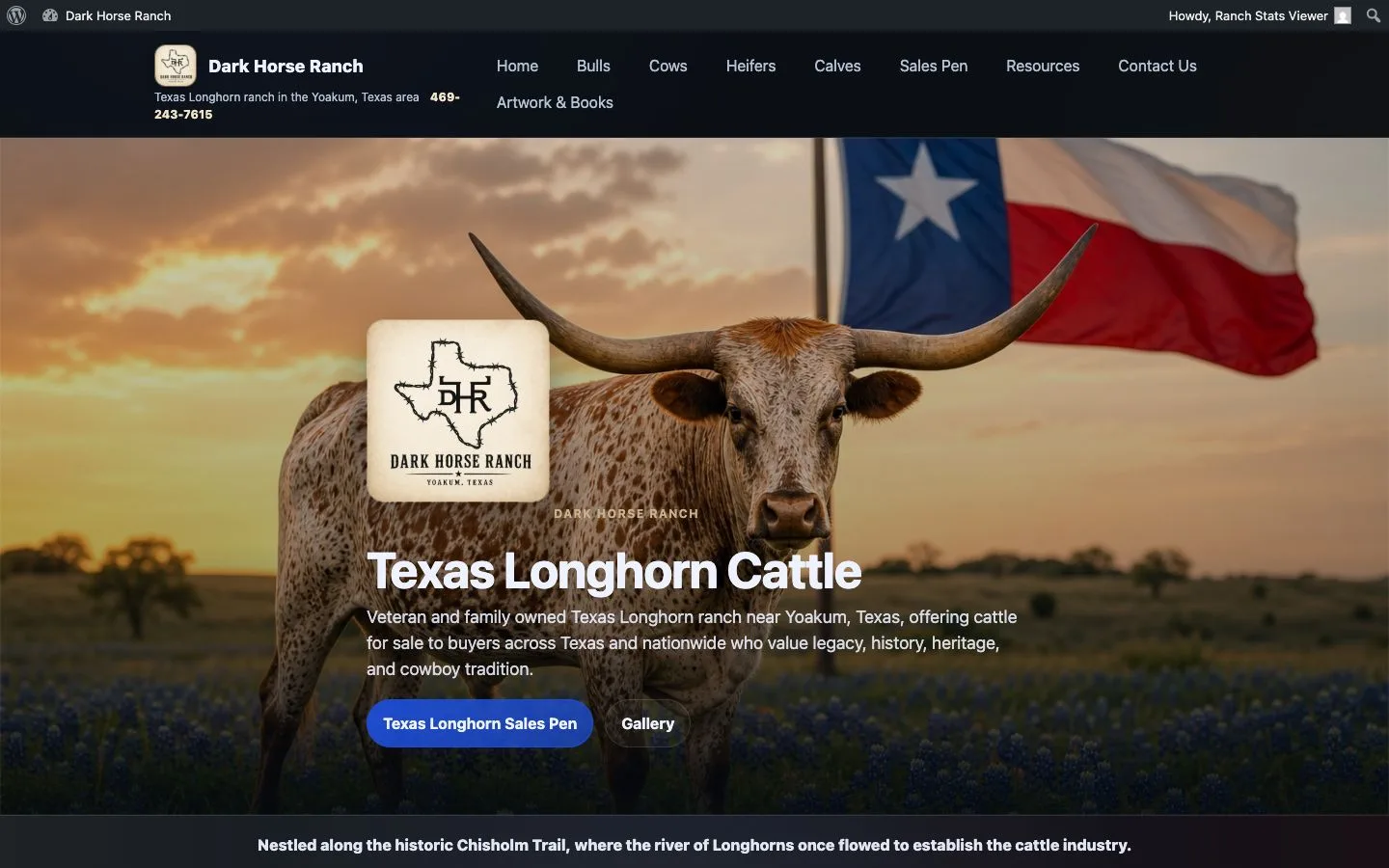 Dark Horse Ranch website — view 1
