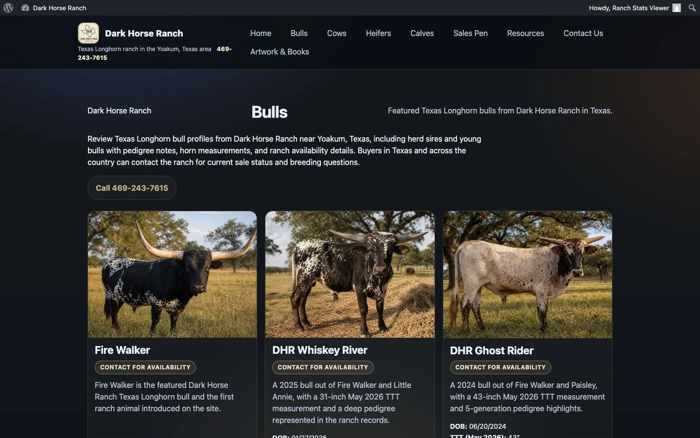Dark Horse Ranch website — view 2